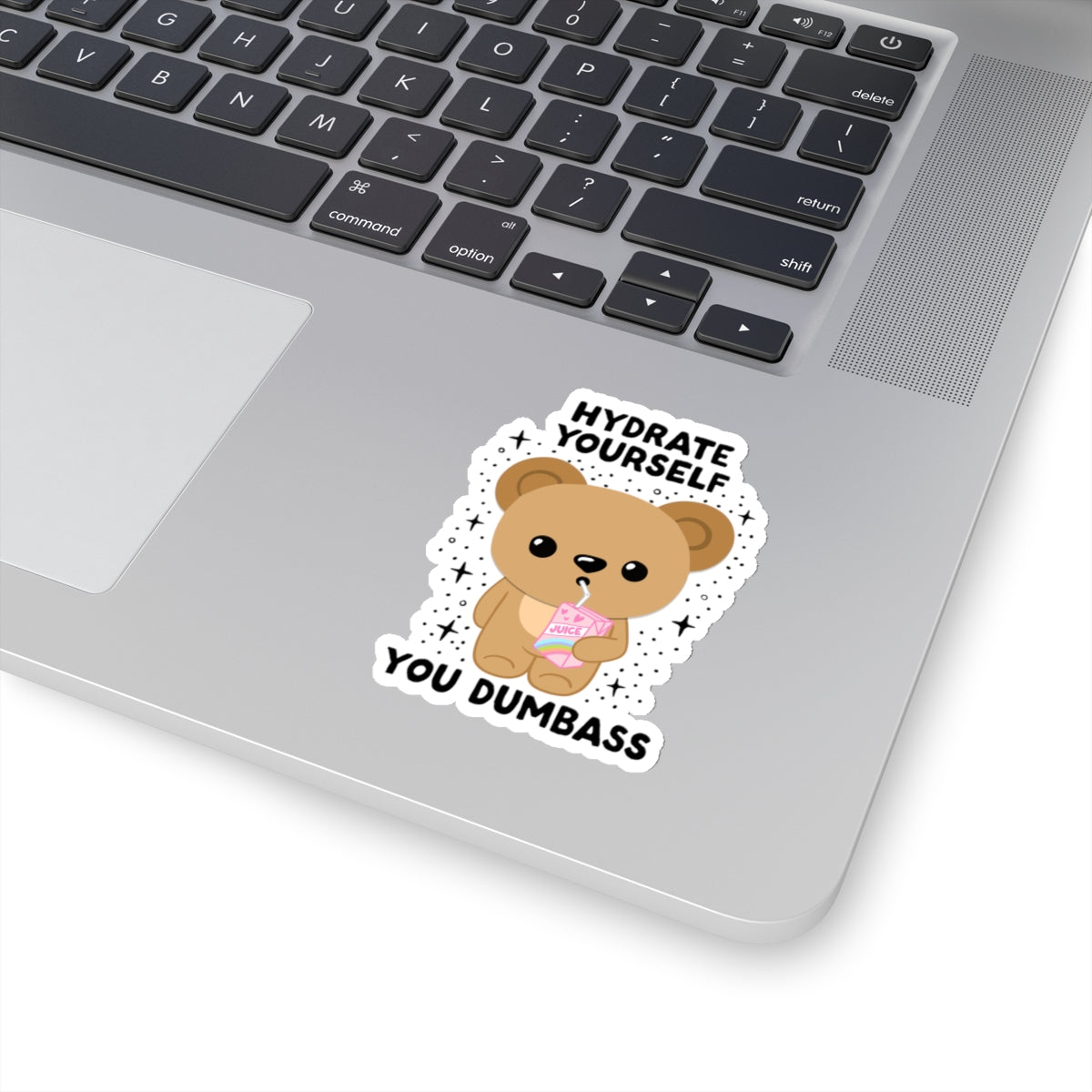 Hydrate Yourself You Dumb*ss, Glossy Sticker