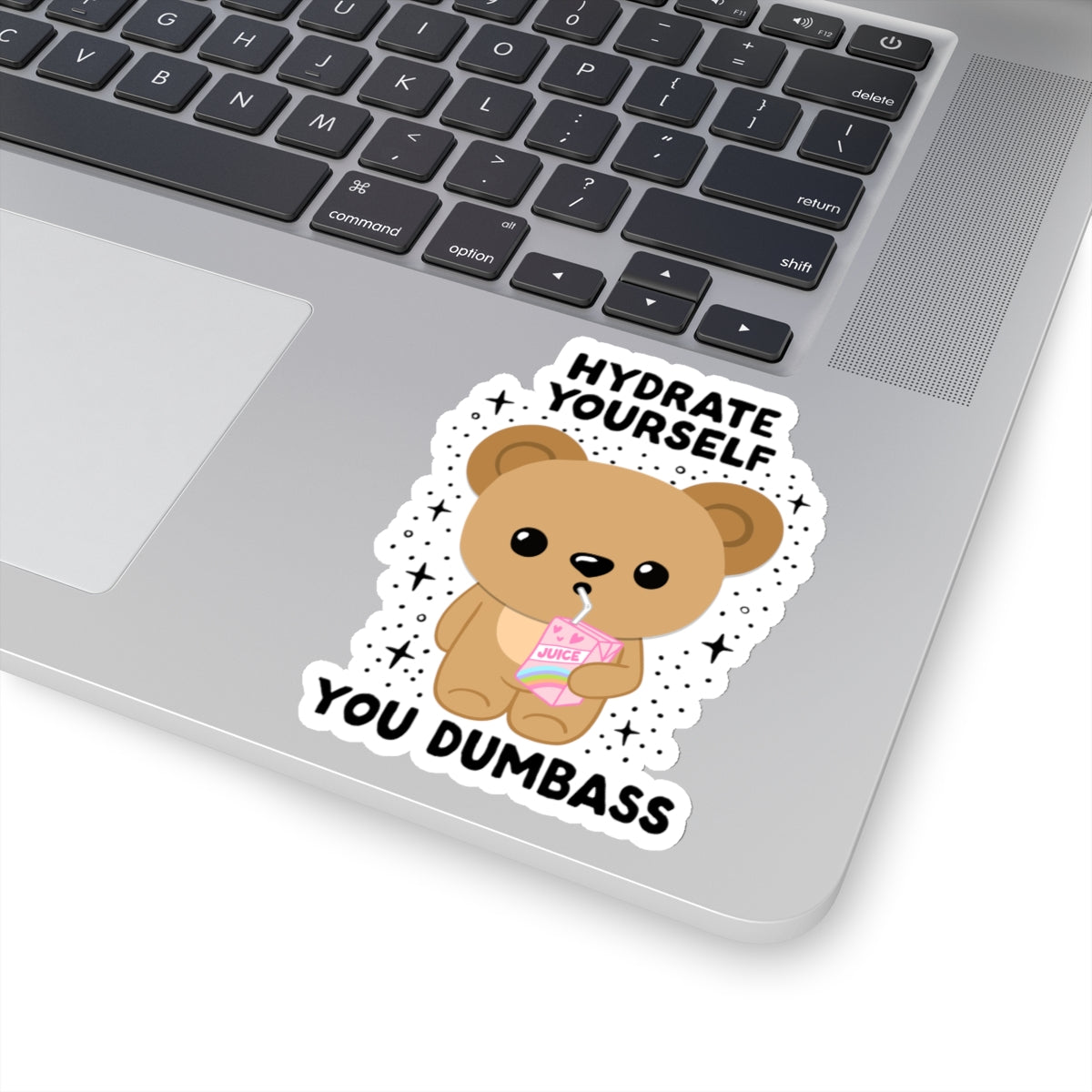 Hydrate Yourself You Dumb*ss, Glossy Sticker