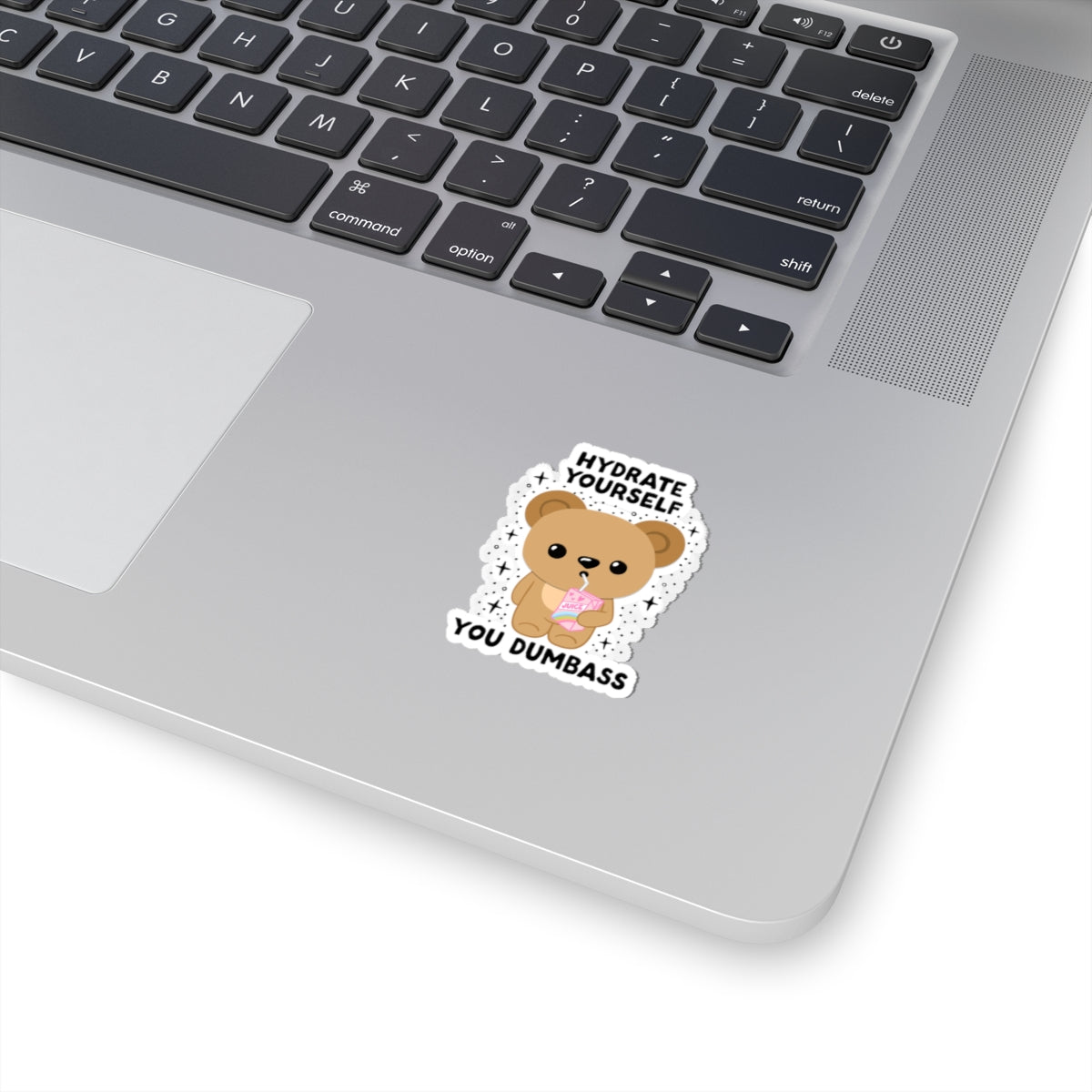 Hydrate Yourself You Dumb*ss, Glossy Sticker